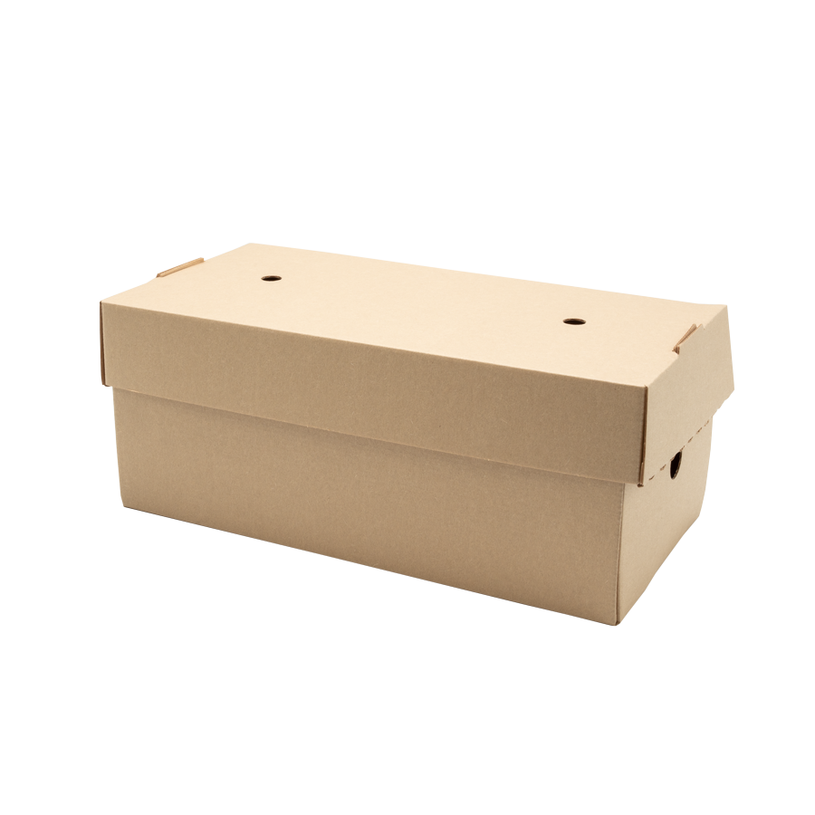 Burger Box, XXL, braun-lightweight, 244 x 120 x 100mm